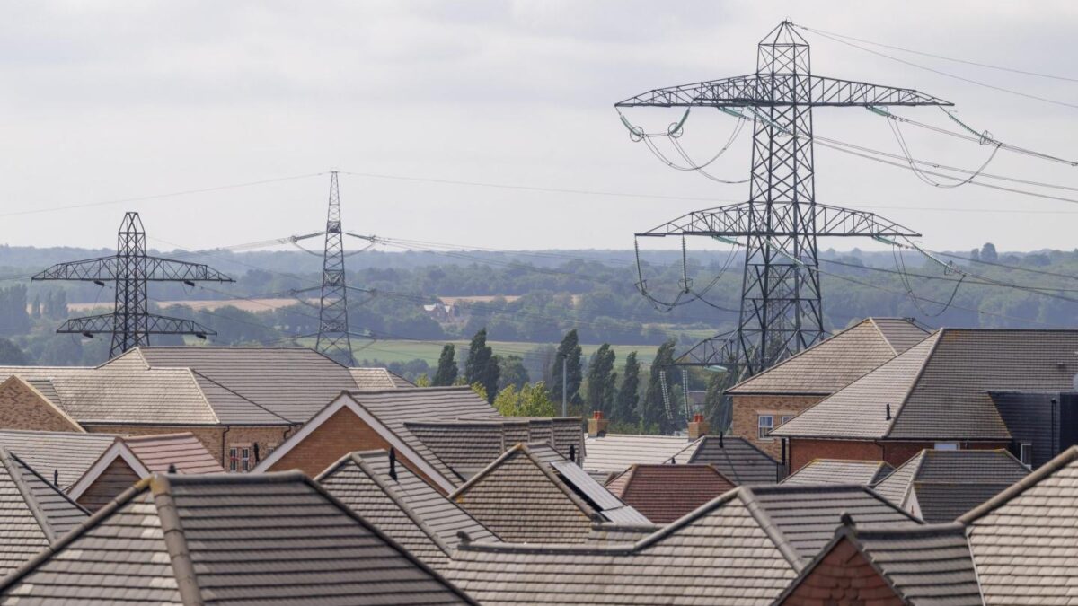 Nearly 30 Georgia homeowners are in the way of a proposed transmission line.